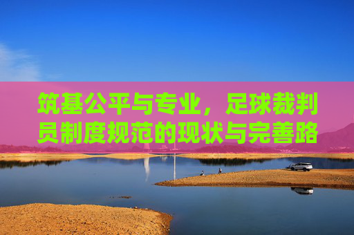 筑基公平与专业,足球裁判员制度规范的现状与完善路径
