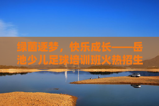 绿茵逐梦,快乐成长——岳池少儿足球培训班火热招生!