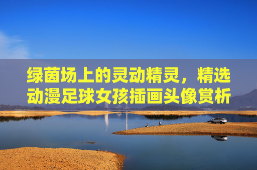 绿茵场上的灵动精灵,精选动漫足球女孩插画头像赏析