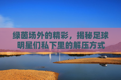绿茵场外的精彩,揭秘足球明星们私下里的解压方式