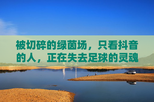 被切碎的绿茵场，只看抖音的人，正在失去足球的灵魂