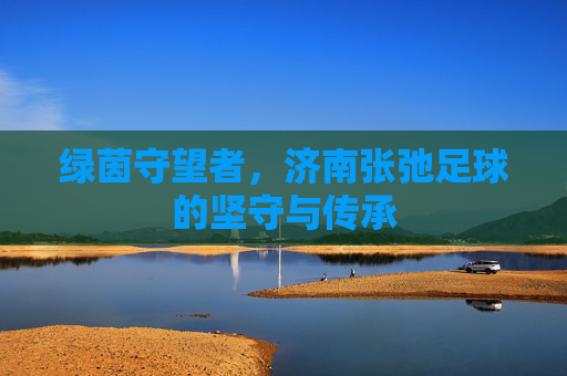 绿茵守望者,济南张弛足球的坚守与传承