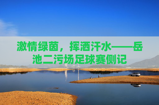 激情绿茵,挥洒汗水——岳池二污场足球赛侧记