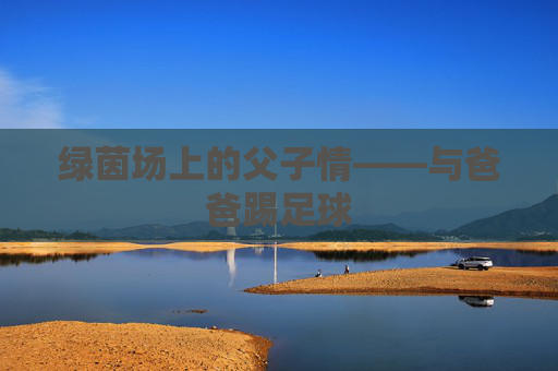 绿茵场上的父子情——与爸爸踢足球