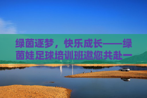 绿茵逐梦，快乐成长——绿茵娃足球培训班邀您共赴一场足球之约