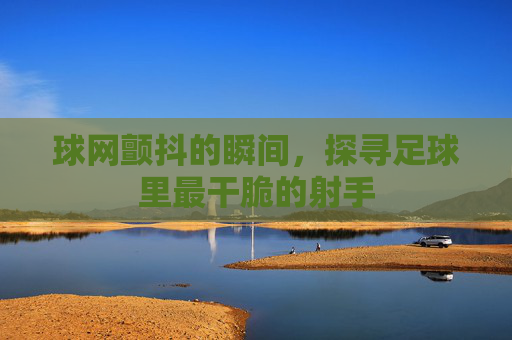 球网颤抖的瞬间,探寻足球里最干脆的射手