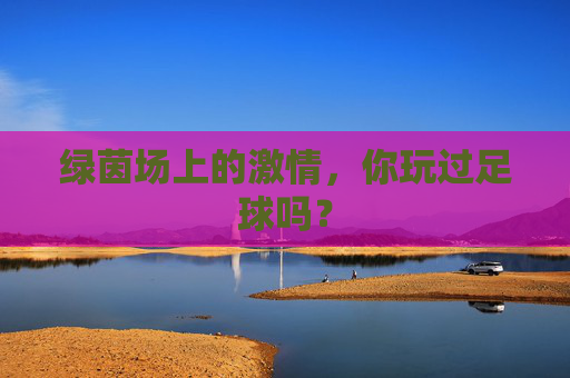 绿茵场上的激情,你玩过足球吗?