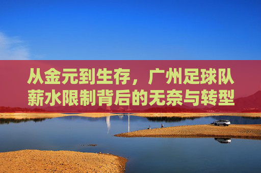 从金元到生存,广州足球队薪水限制背后的无奈与转型