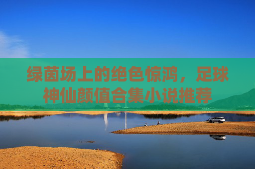 绿茵场上的绝色惊鸿,足球神仙颜值合集小说推荐