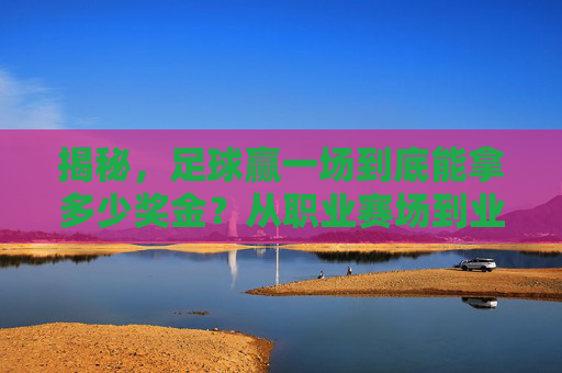 揭秘,足球赢一场到底能拿多少奖金?从职业赛场到业余娱乐全解析