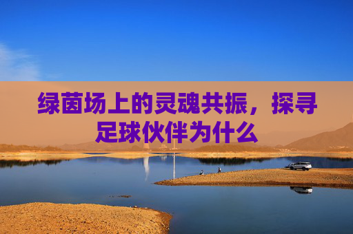绿茵场上的灵魂共振,探寻足球伙伴为什么