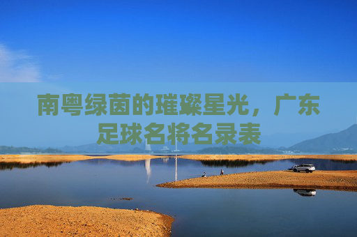 南粤绿茵的璀璨星光,广东足球名将名录表