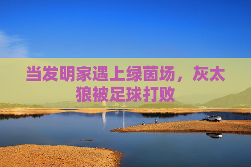 当发明家遇上绿茵场,灰太狼被足球打败