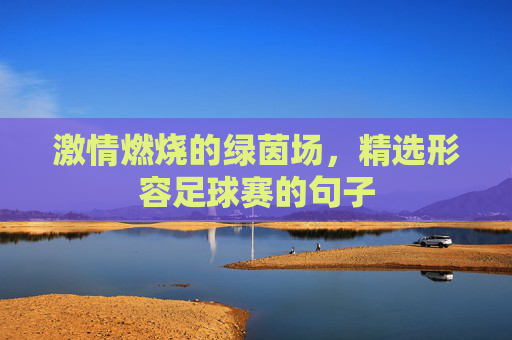激情燃烧的绿茵场,精选形容足球赛的句子