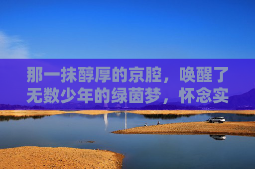 那一抹醇厚的京腔,唤醒了无数少年的绿茵梦,怀念实况足球8的王涛解说