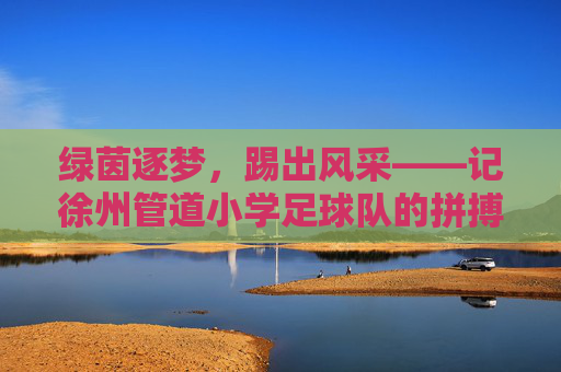 绿茵逐梦,踢出风采——记徐州管道小学足球队的拼搏之路