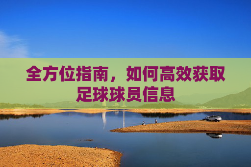 全方位指南,如何高效获取足球球员信息