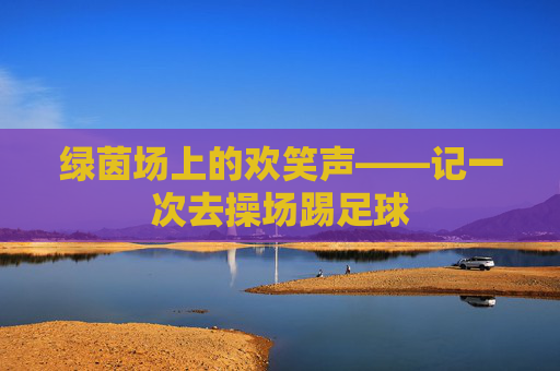 绿茵场上的欢笑声——记一次去操场踢足球