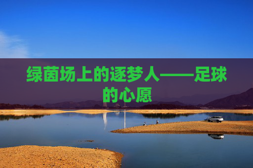绿茵场上的逐梦人——足球的心愿