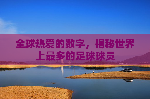 全球热爱的数字,揭秘世界上最多的足球球员
