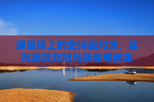 绿茵场上的史诗级对决,实况足球亚冠风暴席卷而来