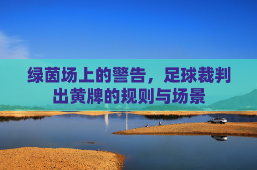 绿茵场上的警告,足球裁判出黄牌的规则与场景