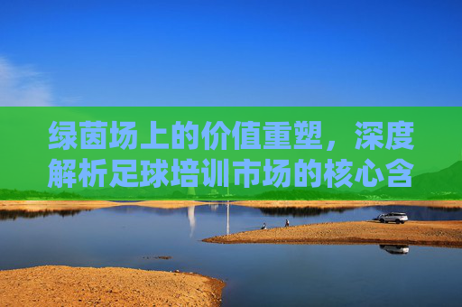 绿茵场上的价值重塑,深度解析足球培训市场的核心含义