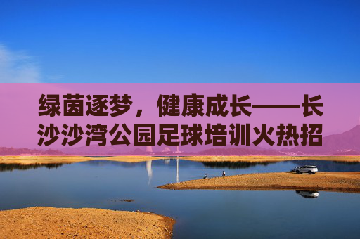 绿茵逐梦,健康成长——长沙沙湾公园足球培训火热招募中!