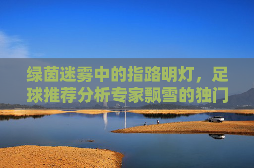绿茵迷雾中的指路明灯,足球推荐分析专家飘雪的独门心法