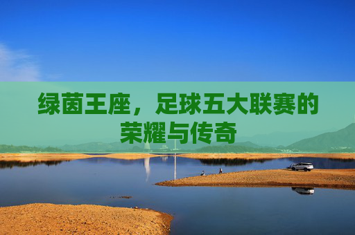 绿茵王座，足球五大联赛的荣耀与传奇