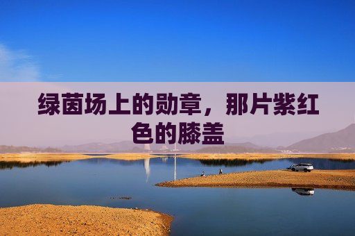 绿茵场上的勋章,那片紫红色的膝盖