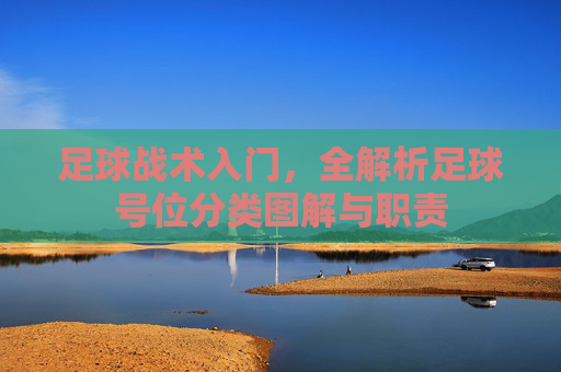 足球战术入门,全解析足球号位分类图解与职责