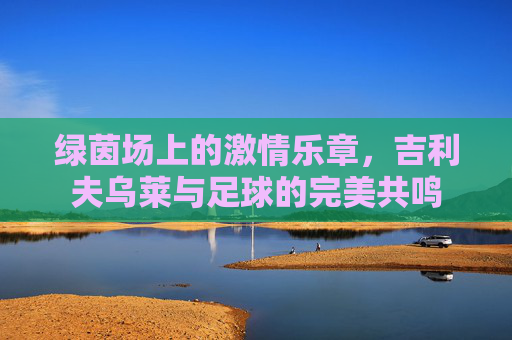 绿茵场上的激情乐章，吉利夫乌莱与足球的完美共鸣