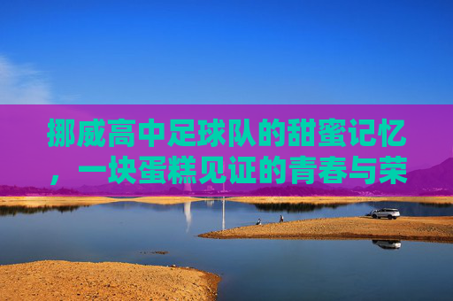 挪威高中足球队的甜蜜记忆，一块蛋糕见证的青春与荣耀