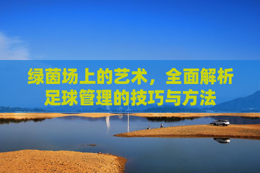 绿茵场上的艺术,全面解析足球管理的技巧与方法