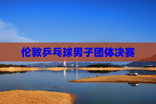 伦敦乒乓球男子团体决赛