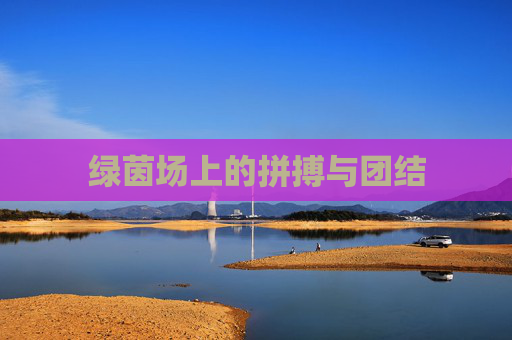 绿茵场上的拼搏与团结