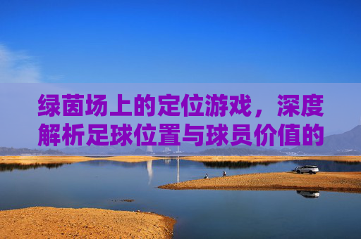绿茵场上的定位游戏,深度解析足球位置与球员价值的辩证关系