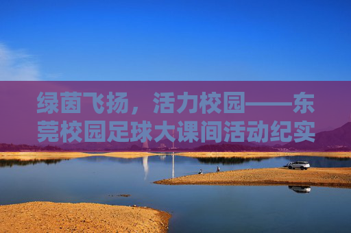 绿茵飞扬,活力校园——东莞校园足球大课间活动纪实