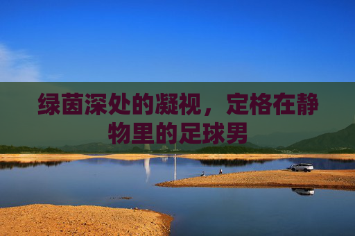 绿茵深处的凝视,定格在静物里的足球男