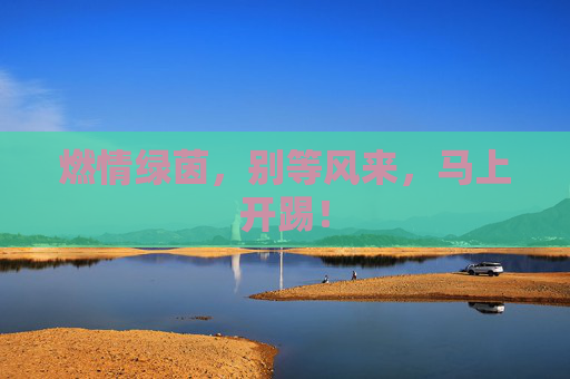 燃情绿茵，别等风来，马上开踢！