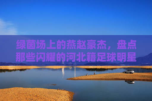 绿茵场上的燕赵豪杰，盘点那些闪耀的河北籍足球明星