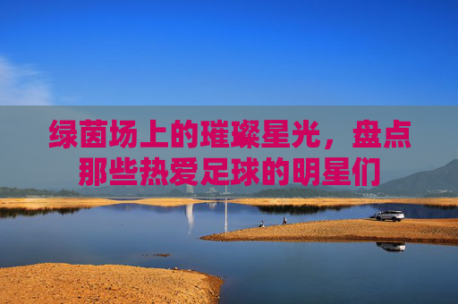 绿茵场上的璀璨星光,盘点那些热爱足球的明星们
