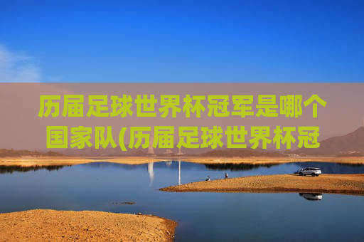 历届足球世界杯冠军是哪个国家队(历届足球世界杯冠军是哪个国家队的)