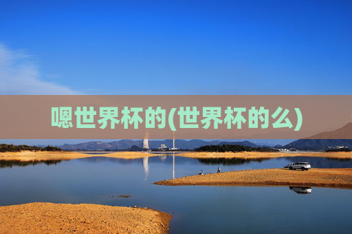 嗯世界杯的(世界杯的么)