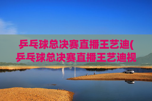 乒乓球总决赛直播王艺迪(乒乓球总决赛直播王艺迪视频)
