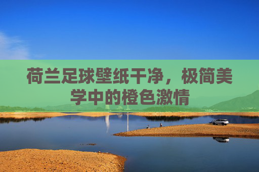 荷兰足球壁纸干净,极简美学中的橙色激情