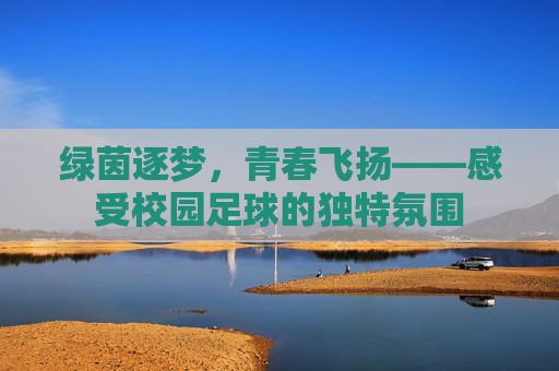 绿茵逐梦,青春飞扬——感受校园足球的独特氛围