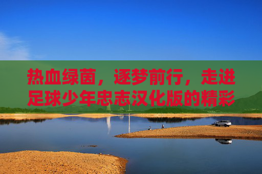 热血绿茵,逐梦前行,走进足球少年忠志汉化版的精彩世界