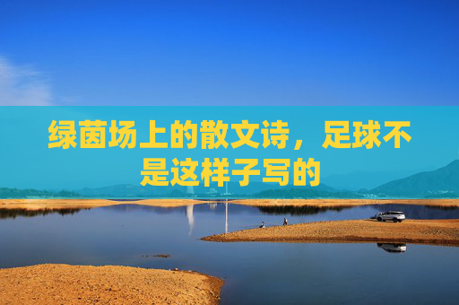 绿茵场上的散文诗,足球不是这样子写的